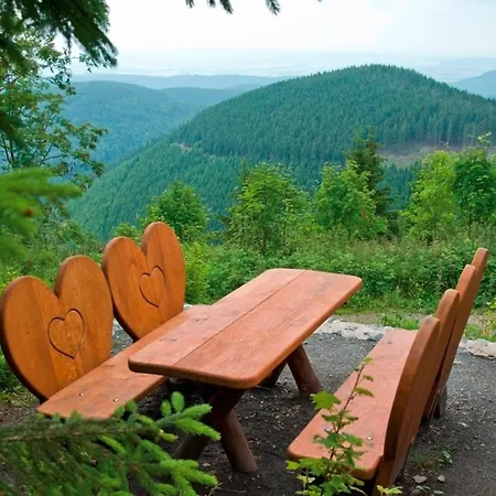 Berg Harmonie Haus 4 Jahreszeiten 公寓 戈斯拉尔