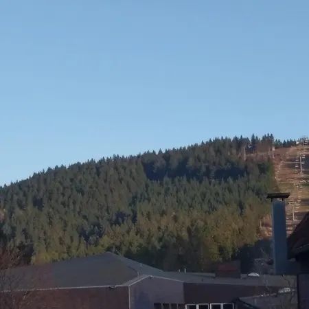 公寓 Berg Harmonie Haus 4 Jahreszeiten 戈斯拉尔