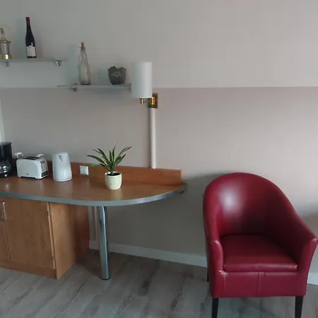 Berg Harmonie Haus 4 Jahreszeiten 公寓 戈斯拉尔