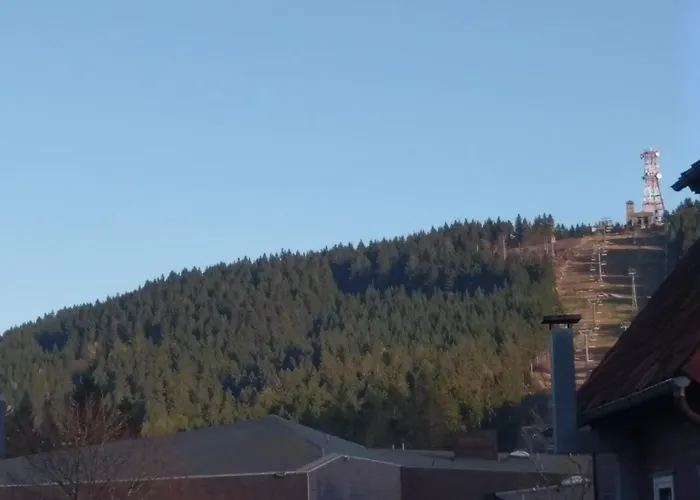 公寓 Berg Harmonie Haus 4 Jahreszeiten 戈斯拉尔